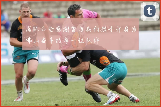 离队公告感谢曾与我们携手并肩为佛山奋斗的每一位伙伴