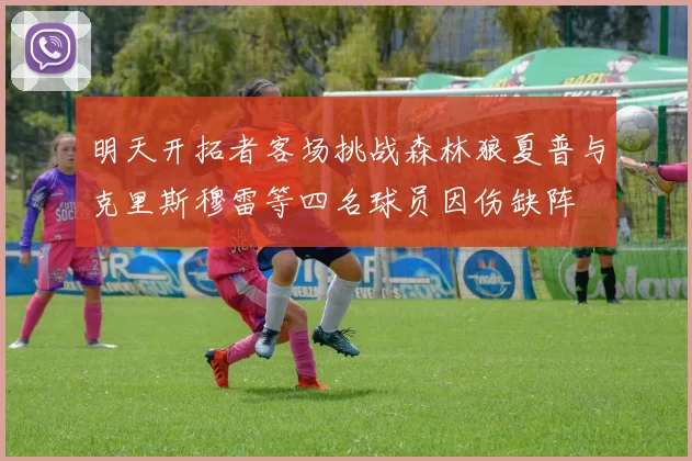 明天开拓者客场挑战森林狼夏普与克里斯穆雷等四名球员因伤缺阵